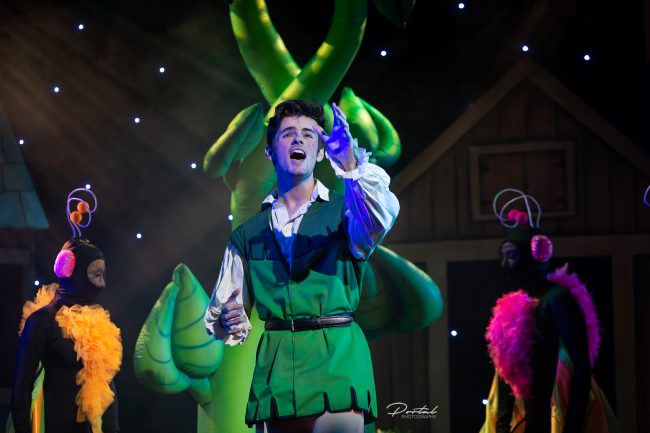 Jack and the Beanstalk