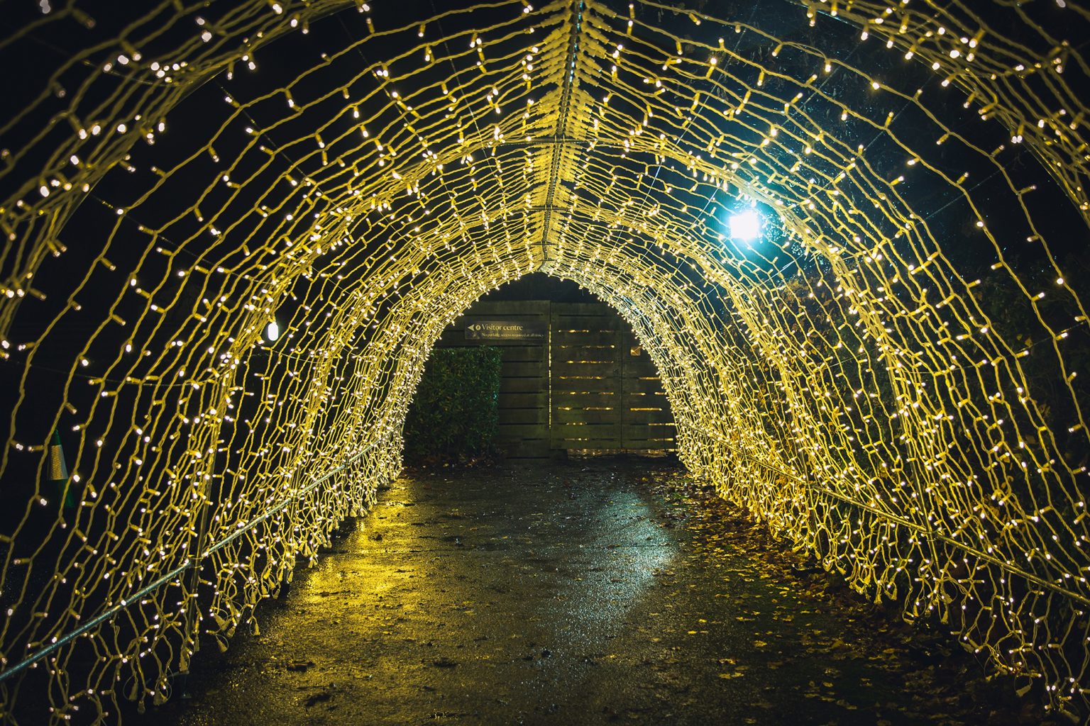 Wonderful Winter Lights Anglesey Abbey Spectrum Spectrum Cambridge