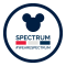 Spectrum Team Disney